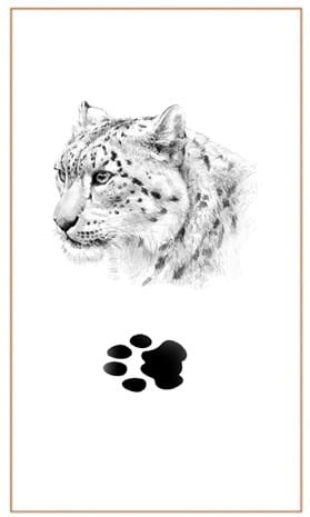 Snow Leopard images - Bushprints