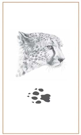 Cheetah head & tracks - Bushprints