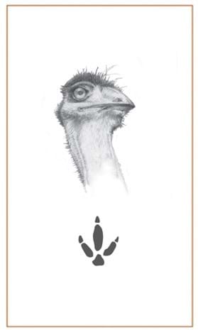Emu drawing and footprint - Bushprints