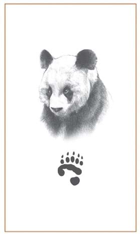 Giant Panda head & pawprint-Bushprints