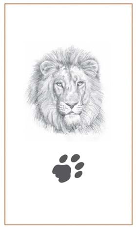 Lion drawings by Bushprint Jewellery
