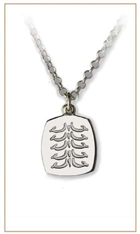 Turtle track necklace|Bushprints Jewelry