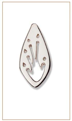 Frillneck Lizard print pin - Bushprints Jewellery