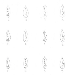 Wildlife print jewellery - Bettong footprint