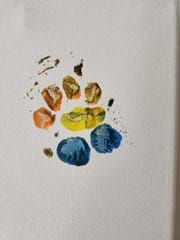 Cape Porcupine footprint image