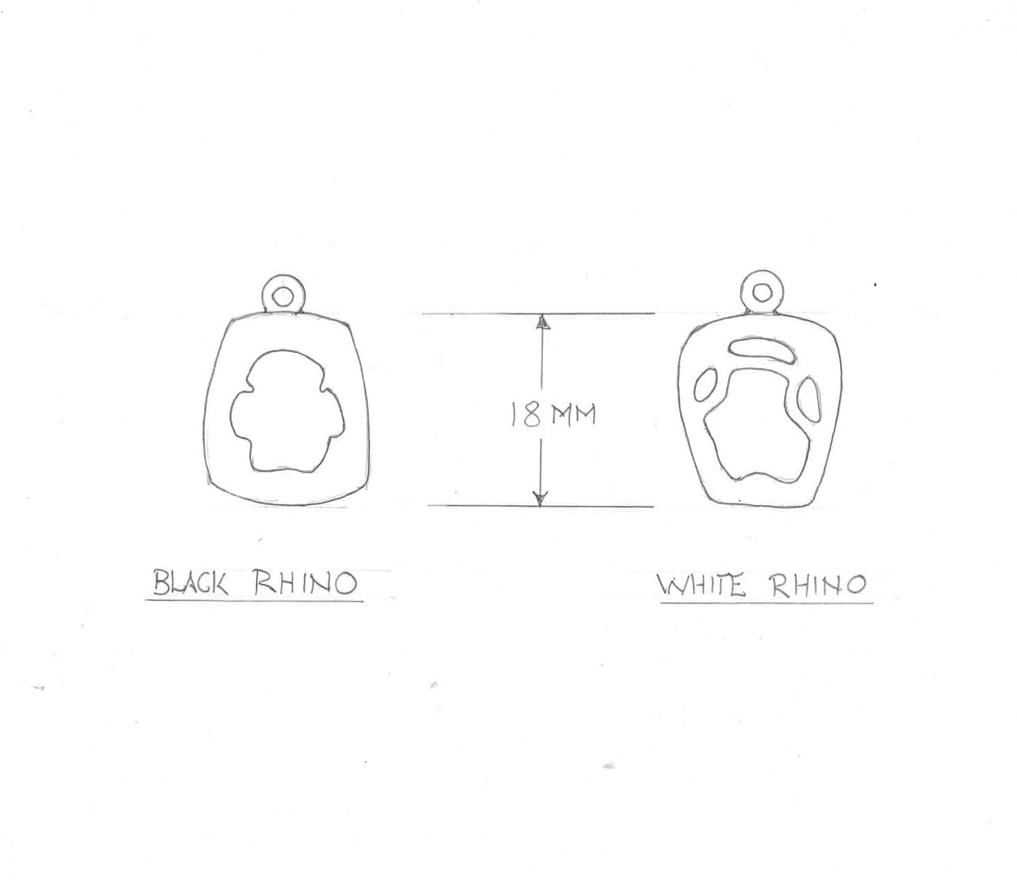 Rhino footprints |Endangered species