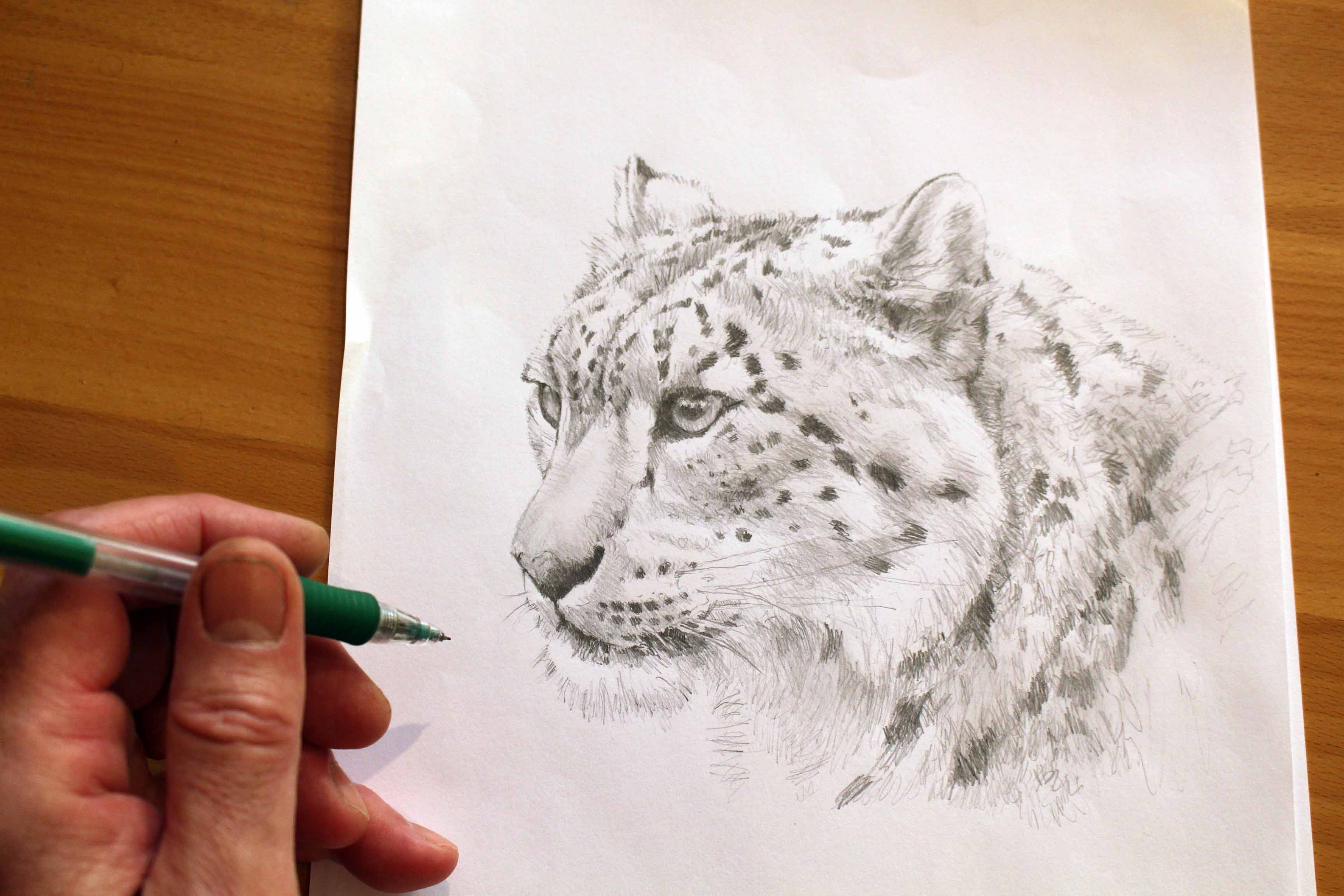 snow leopard print design