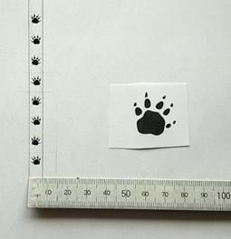 Wildlife inspired designs - Tassie Devil